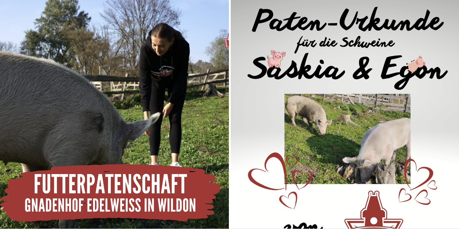 patenschaft saskia egon