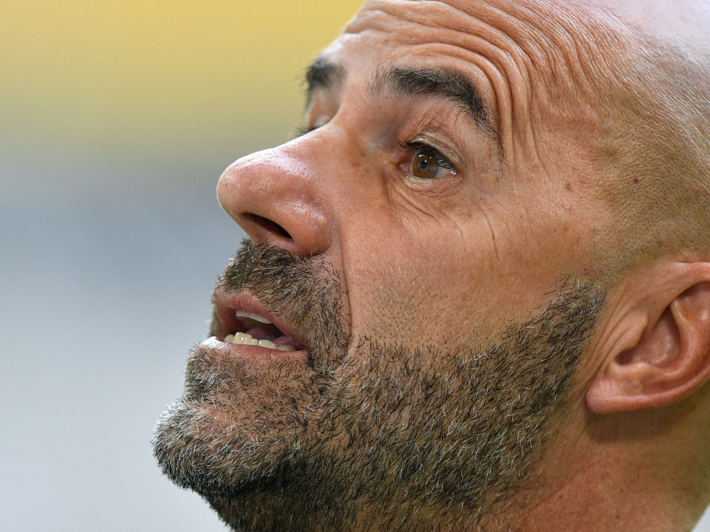 Bosz will den Abgang von Havertz kompensieren