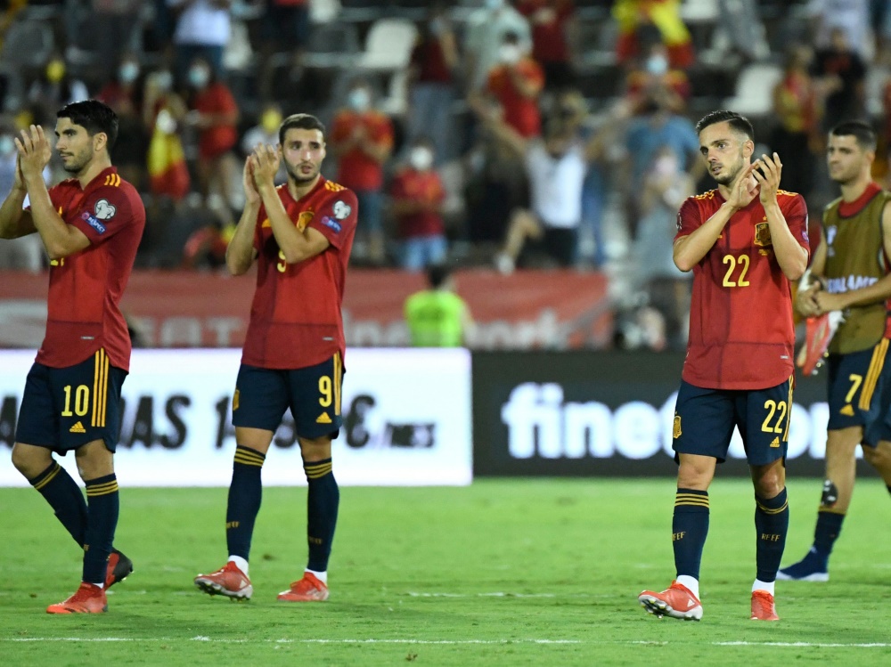 Spanien siegt gegen Georgien und ist Tabellenführer (Foto: SID)