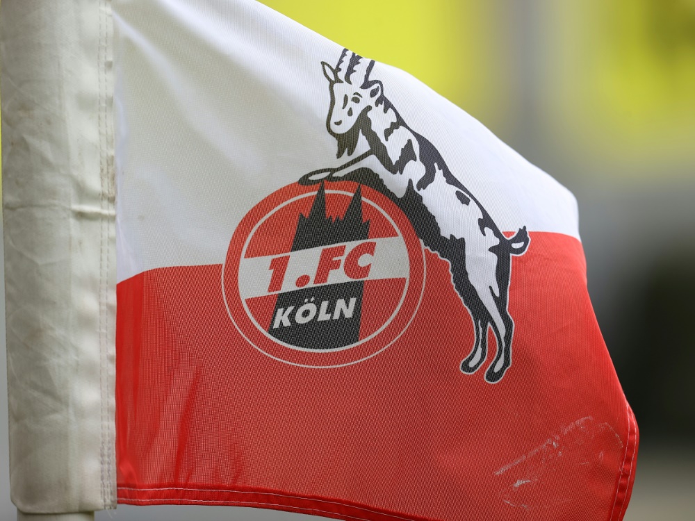 Köln verstärkt sich wohl mit Sohn von Zvonimir Soldo (Foto: FIRO/FIRO/SID)