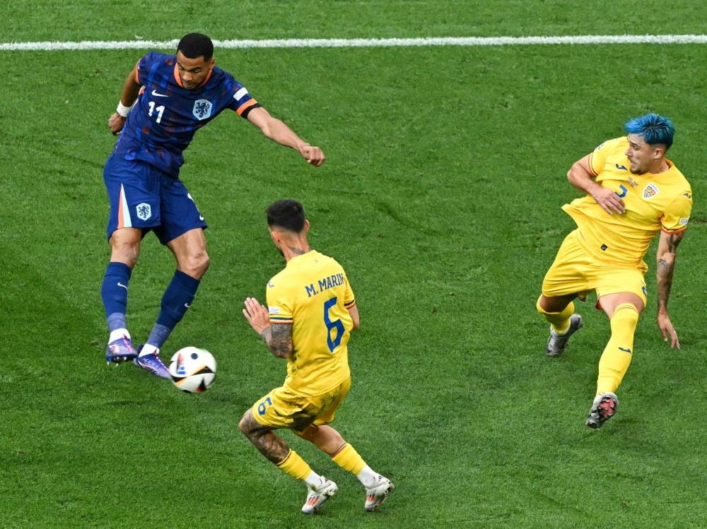 Volltreffer: Cody Gakpo mit dem 1:0 für die Niederlande (Foto: AFP/SID/THOMAS KIENZLE)