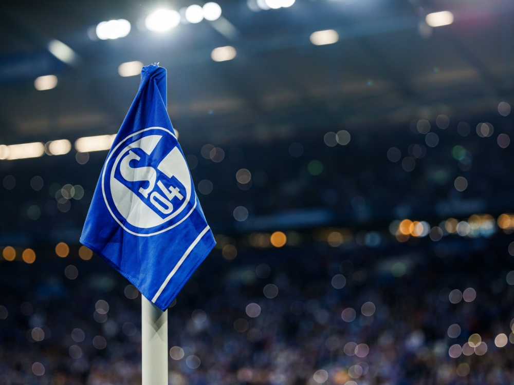 Schalke hofft auf Konstanz auf der Brust (Foto: FIRO/FIRO/SID/-)