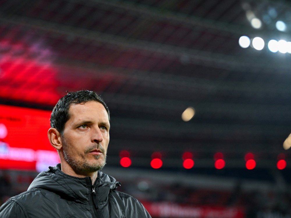 Eintracht-Trainer Dino Toppmöller (Foto: AFP/SID/SASCHA SCHUERMANN)