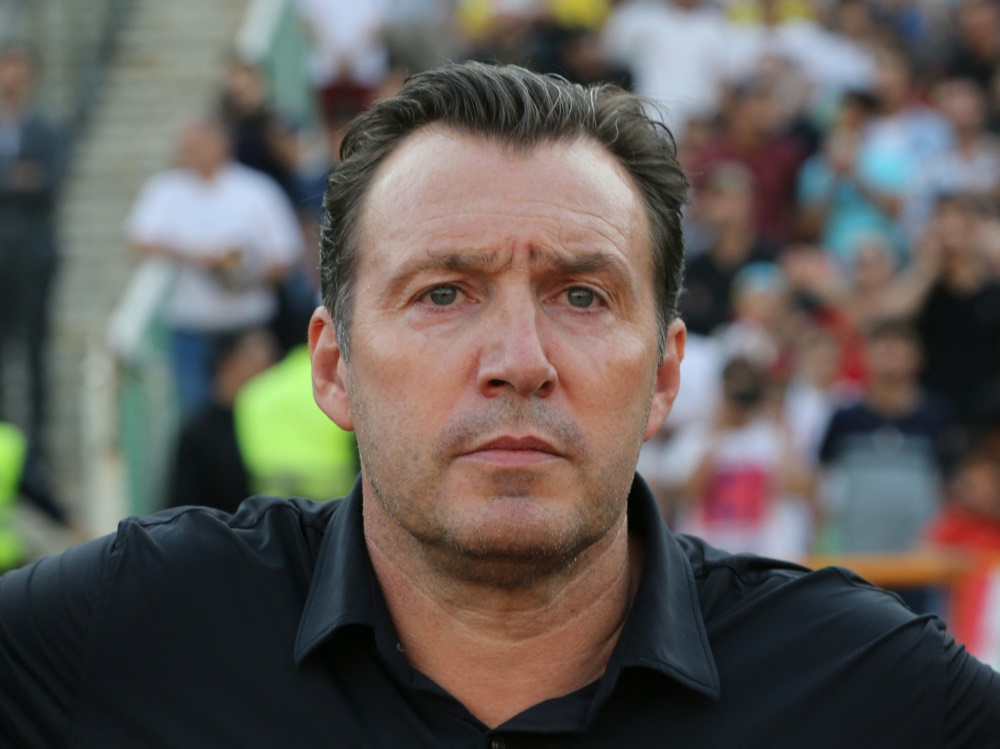 Sportdirektor Marc Wilmots (Foto: AFP/SID/ATTA KENARE)