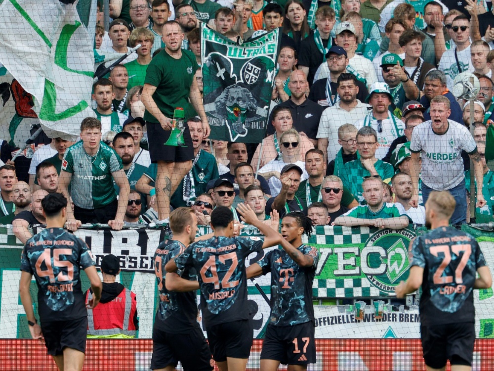 Michael Olise brachte die Bayern in Führung (Foto: AFP/SID/AXEL HEIMKEN)