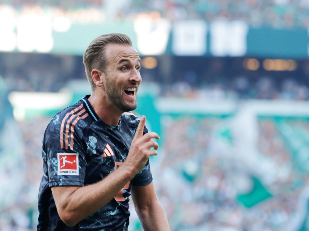 Führt die Torjägerliste der Königsklasse an: Harry Kane (Foto: AFP/SID/AXEL HEIMKEN)