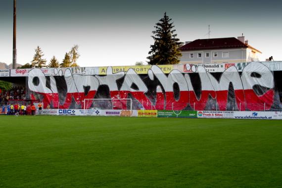 1. Fans Steyr