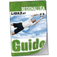 liga3.at Regionalliga Guide